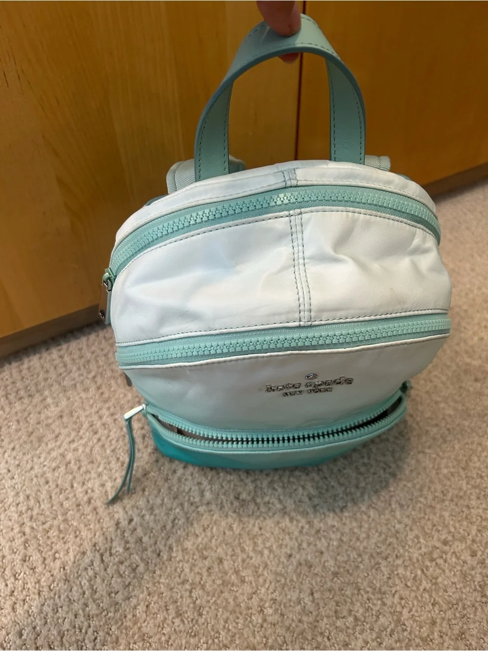 kate spade pastel mint gradient backpack